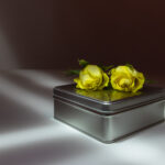 Lichtmalerei. Zwei gelbe Rosenblüten auf einer Blechdose mit nur einer Taschenlampe ausgeleuchtet.